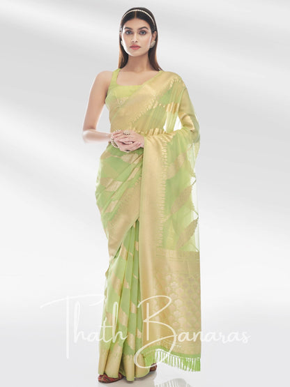 Green Pure Organza with Banarasi Zari