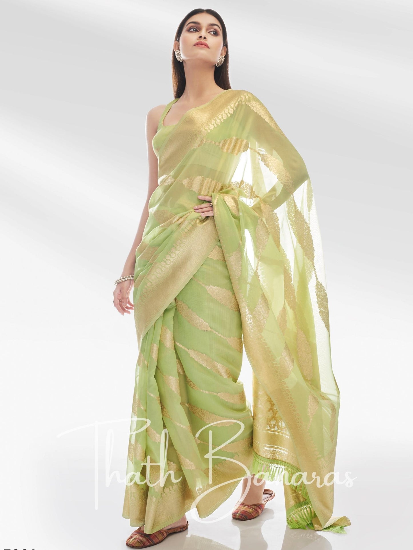 Green Pure Organza with Banarasi Zari