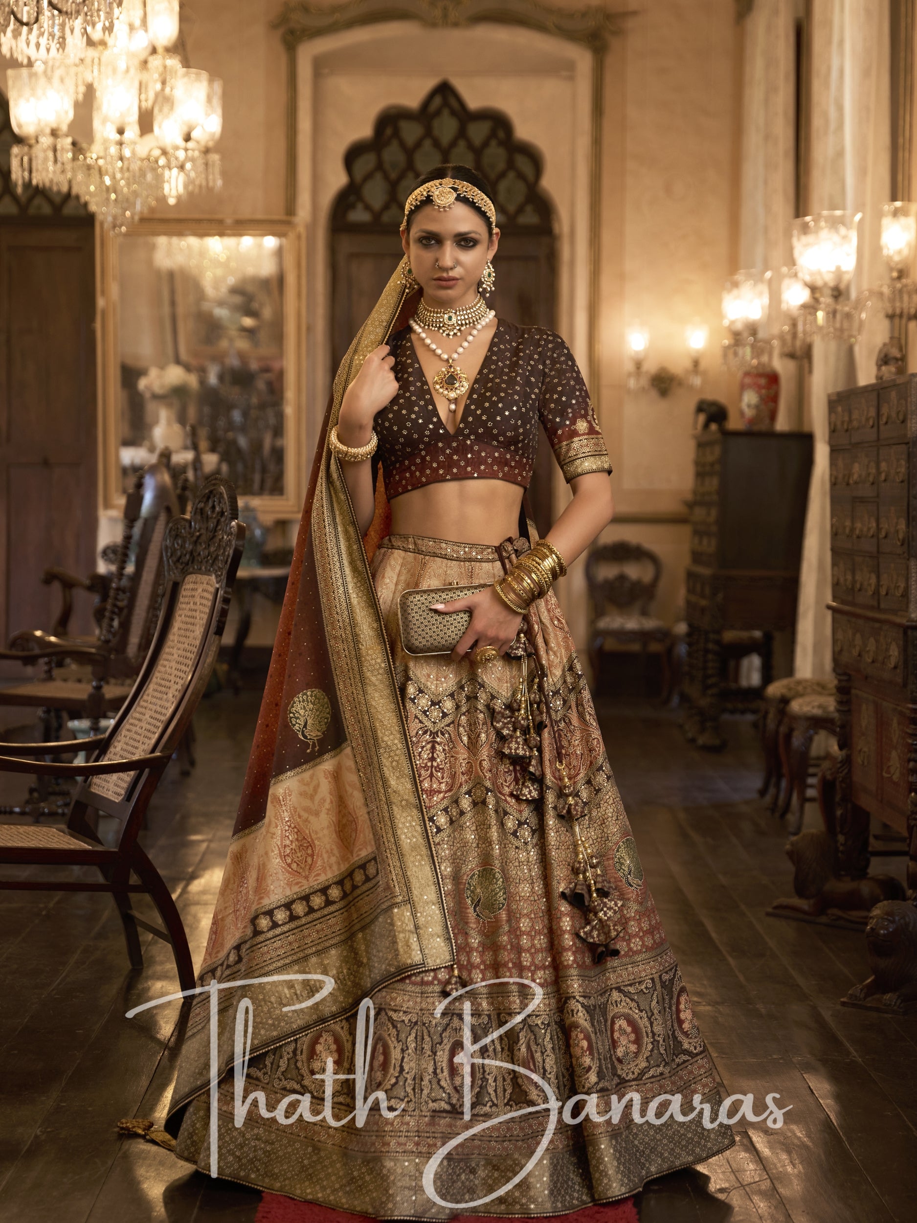 Backround Rajwadi Chocolate Brown Smooth Rajwadi Silk with Sparkle and Aari Mirror Work ...