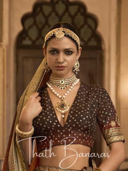 Chocolate Brown Smooth Rajwadi Silk with Sparkle and Aari Mirror Work Lehenga and Blouse