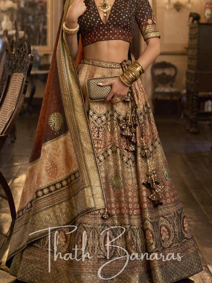 Chocolate Brown Smooth Rajwadi Silk with Sparkle and Aari Mirror Work Lehenga and Blouse