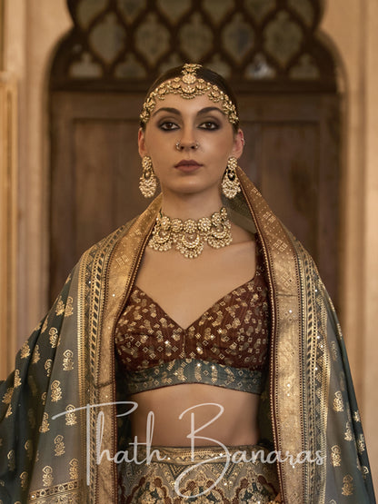 Brown Smooth Rajwadi Silk with Sparkle and Aari Mirror Work Lehenga and Blouse